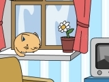 Game Playful kittens