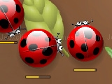 Game Spider bugs