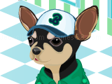 Game Animal sportsfan dressup