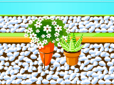 Game Jardin fleurs