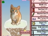 Game Cat Clicker MLG