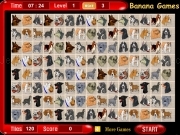 Game Dog mahjong