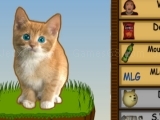 Game Cat Clicker MLG